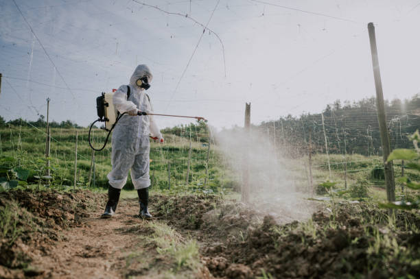 Best Commercial Pest Control Services  in Morris, OK