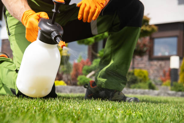 Best Local Pest Control Services  in Morris, OK