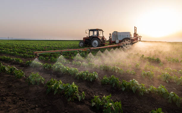 Best Wildlife Control Services  in Morris, OK