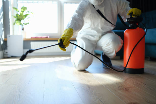 Best Pest Prevention Services  in Morris, OK