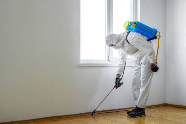 Best Best Pest Control Companies  in Morris, OK