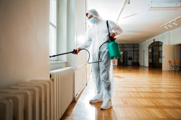 Best Mosquito Control Services  in Morris, OK