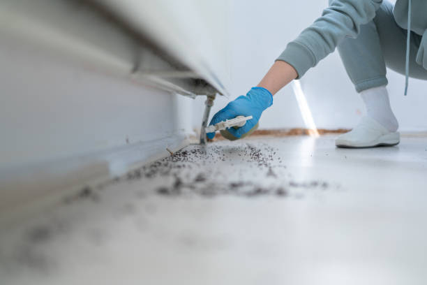 Best Pest Prevention Services  in Morris, OK